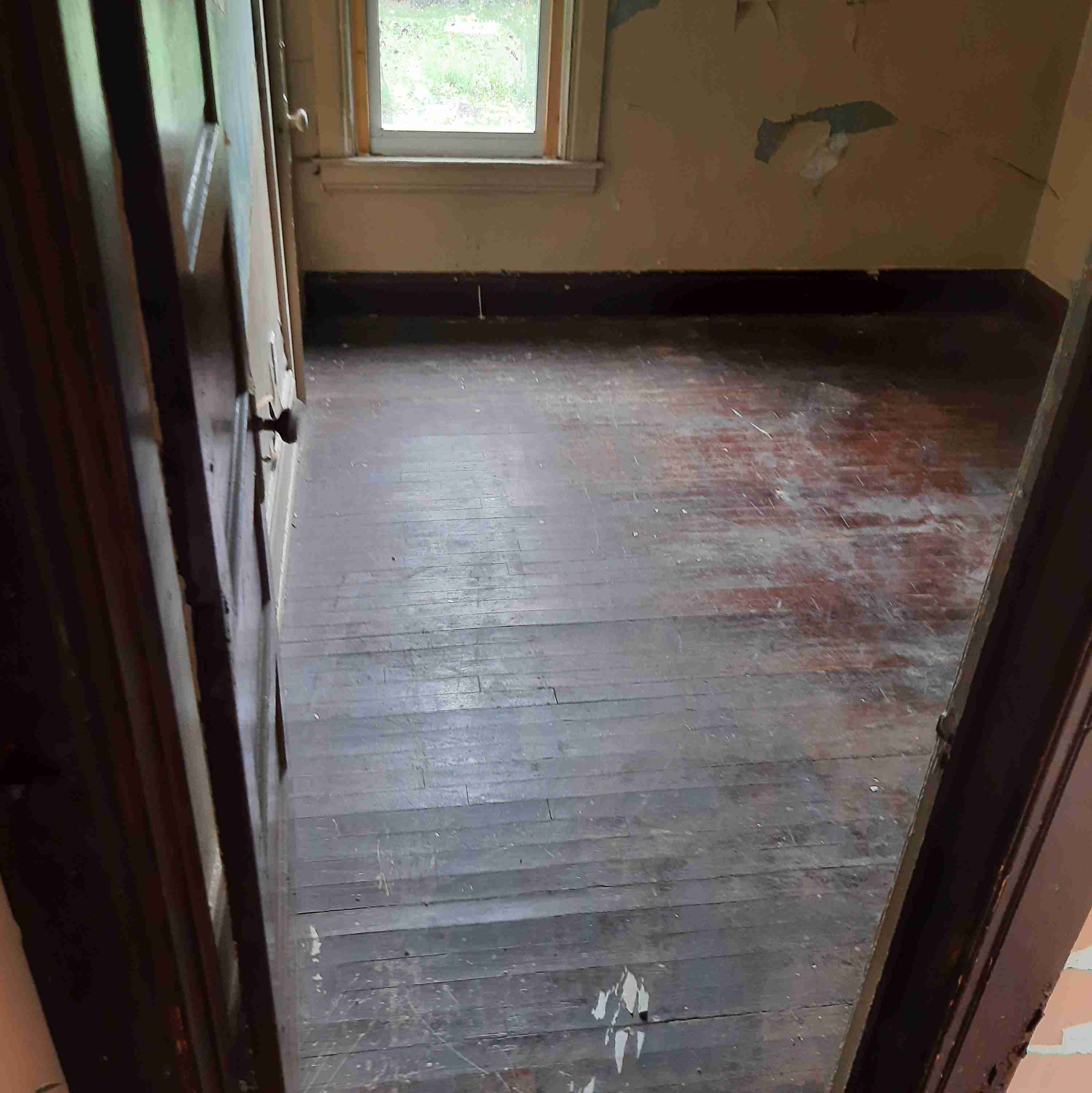 20200826_124517 (2).jpg